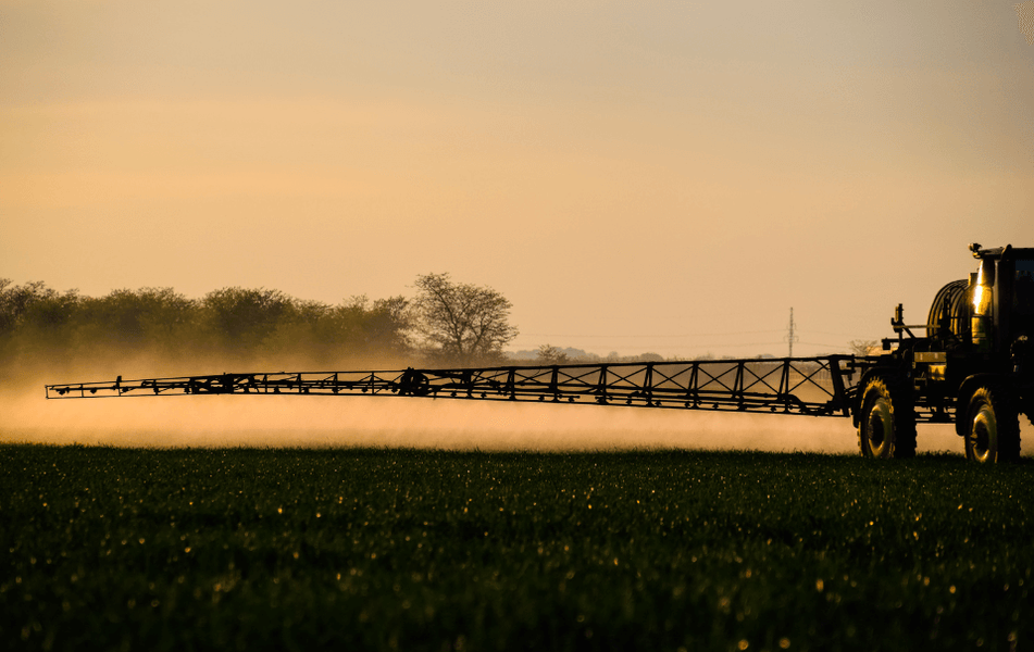 Dia do Controle da Poluição por Agrotóxicos: agroecologia como alternativa sustentável