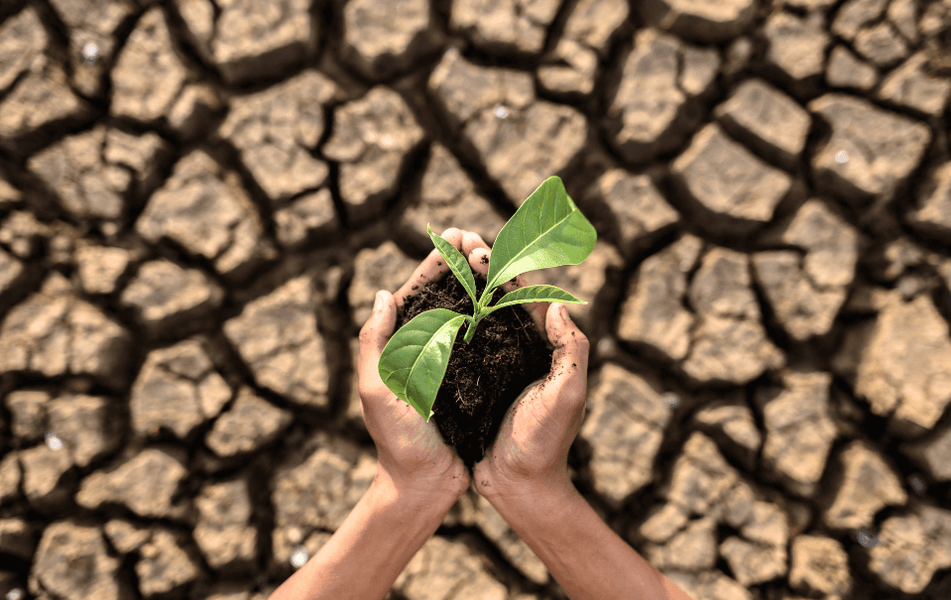 Dia Nacional de Conservação dos Solos: Preservando Nossa Terra