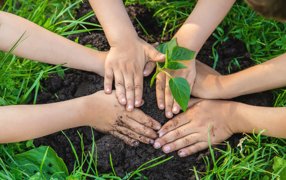 Educação Ambiental: A ferramenta mais poderosa contra a Mudança Climática