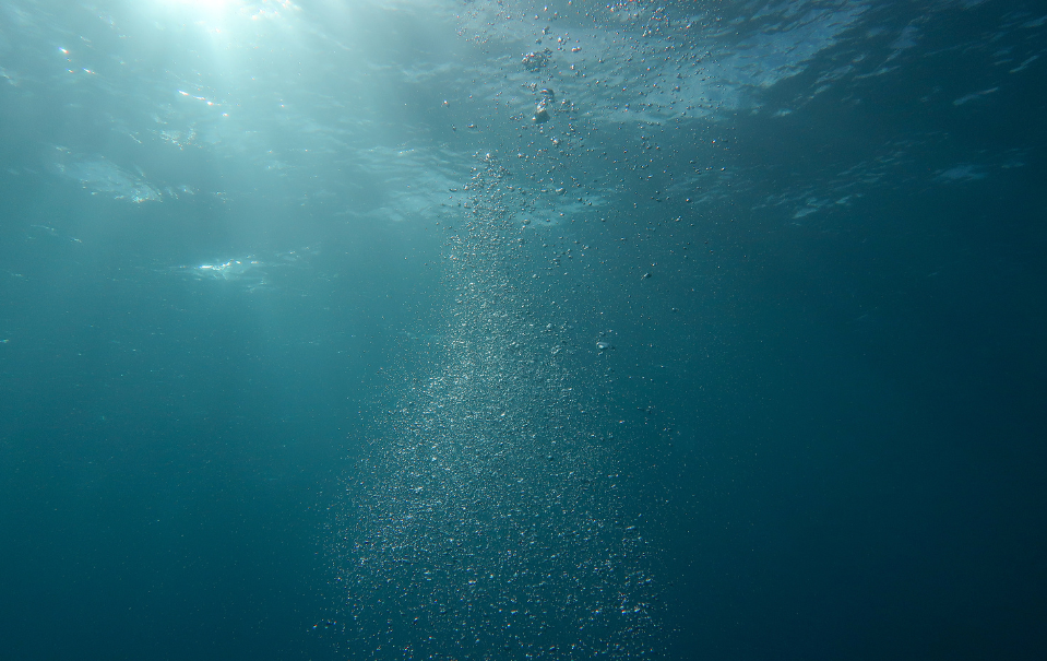 Acidificação dos oceanos: um grave problema para a vida marinha