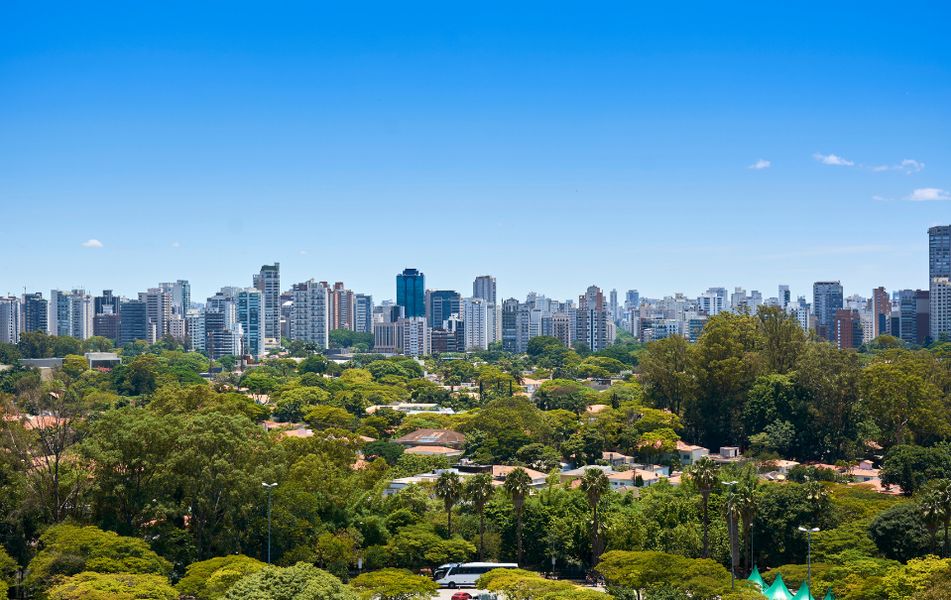 Dia da árvore: Importância de espaços verdes e lazer em áreas urbanas