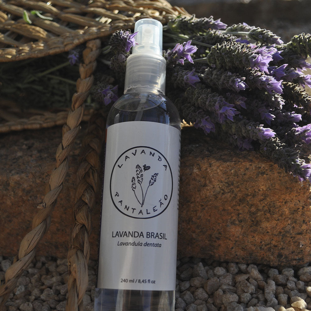 Água Floral de Lavanda (hidrolato) 240ml -  Pantaleão